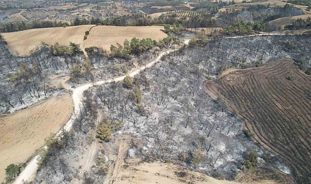 Yangın sonrası acı manzara: "Canımızı zor kurtardık"