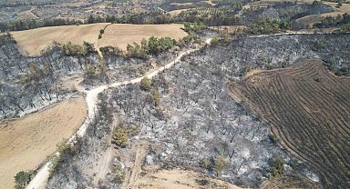 Yangın sonrası acı manzara: "Canımızı zor kurtardık"