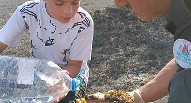Yangında yaralanan kirpiyi itfaiye ekipleri hayata döndürdü