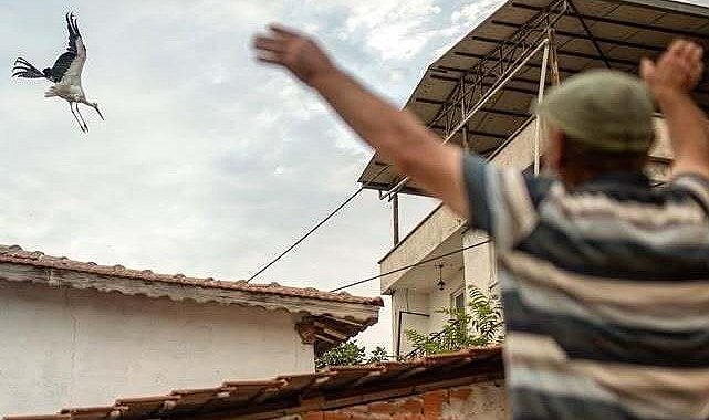 Yaren leyleğin vedası yürek burktu