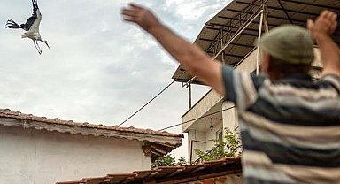 Yaren leyleğin vedası yürek burktu