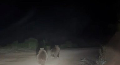 Yayla yolunda doğanın beklenmedik sürprizi