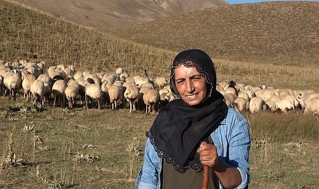 Yaylanın kadın çobanı: "Üretici olup, kendi işimi yapmak istiyorum"