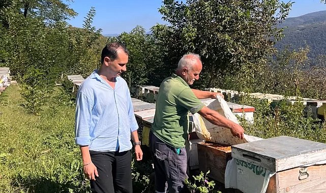 Yığılca'da arılı kovan tespit çalışması