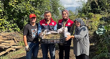 Yığılca'da salep üretimi yaygınlaşıyor