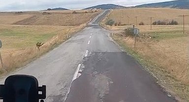 Yol durumunu ve kazaları anlatırken kazaya tanıklık etti
