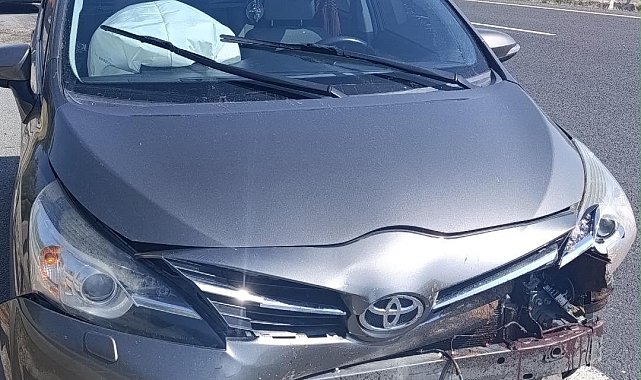 Yola aniden çıkan koyun kazaya sebep oldu, 1 yaralı
