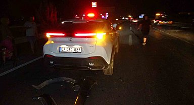Yola fırlayan köpek kazaya neden oldu, 6 araç birbirine girdi