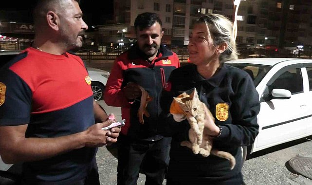 Yozgat'ta aracın motorunda mahsur kalan yavru kediyi itfaiye kurtardı
