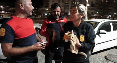 Yozgat'ta aracın motorunda mahsur kalan yavru kediyi itfaiye kurtardı