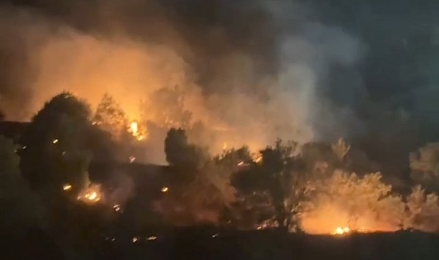 Yüksekova'da ağaçlık alanda çıkan yangın söndürüldü