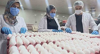 Yumurta fiyatlarına kısa vadede zam beklenmiyor