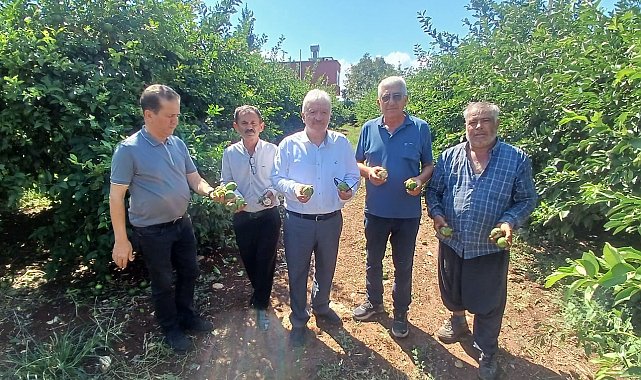 Yüreğir'de dolu afeti: Yaklaşık 35 bin dönüm tarım alanı zarar gördü