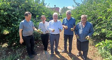 Yüreğir'de dolu afeti: Yaklaşık 35 bin dönüm tarım alanı zarar gördü