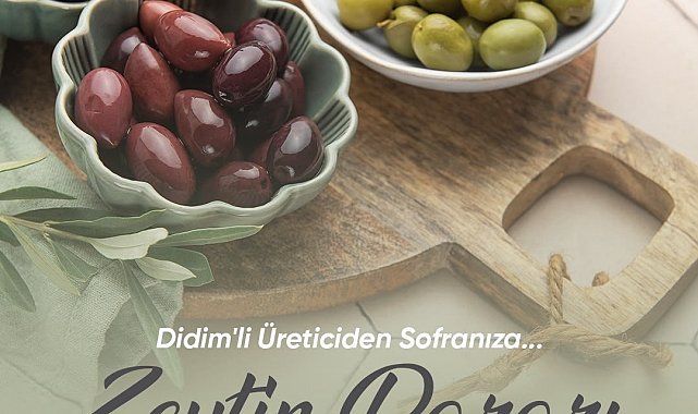 Zeytin üreticileri için satış alanı oluşturulacak