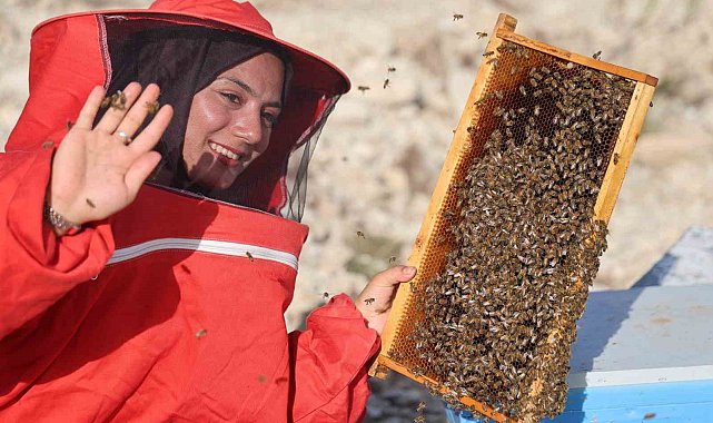 22 yaşında diplomasını aldı, 250 kovanla başladığı arıcılıkta bine ulaştı