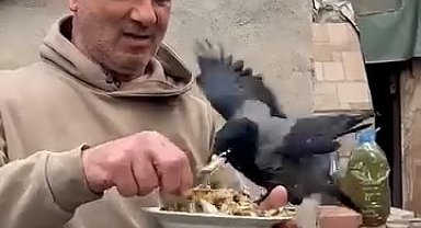 4 yıldır beslediği kargasına elleriyle balık yedirdi