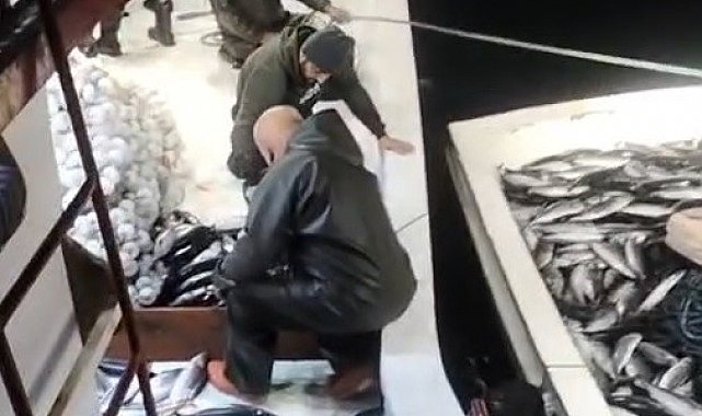 5 bin palamut tekneye sığmadı, yardıma başka tekne geldi