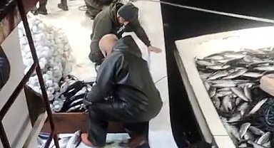 5 bin palamut tekneye sığmadı, yardıma başka tekne geldi