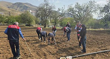 70 yaşındaki üretici Şehriban teyzenin yardımına tarım ekipleri yetişti