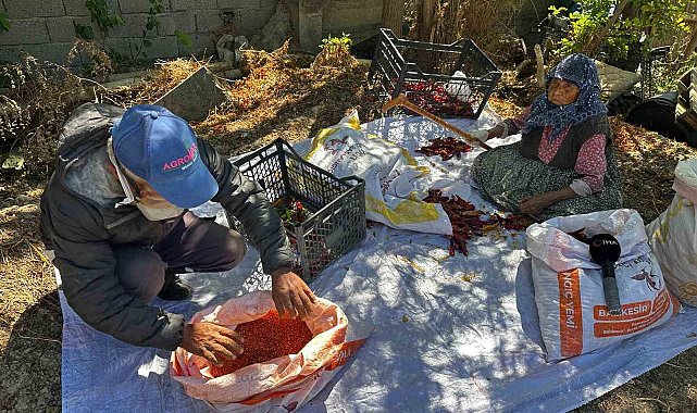 90 yaşındaki annenin evlat sevgisi acı biberi tatlı kıldı