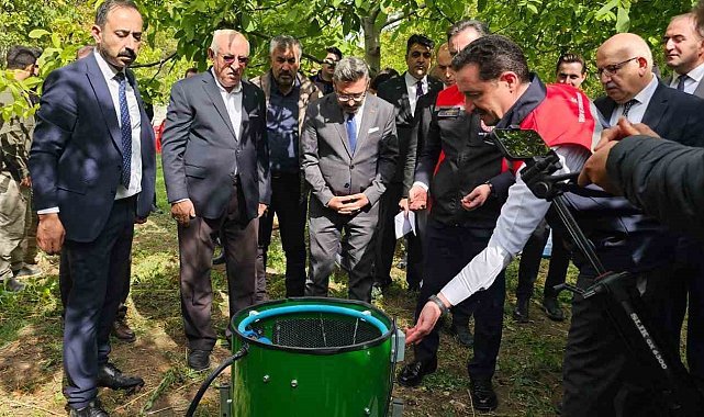 Adilcevaz'da ceviz hasadı başladı