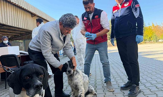 Afşin'de kuduzla toplu mücadele: 230 hayvan aşılandı, 60'ına mikroçip takıldı