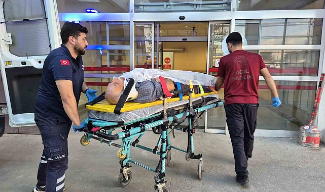 Ağaç keserken düşen yaşlı adam yaralandı