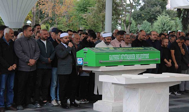 Ağaçtan düşen öğretmen hayatını kaybetti