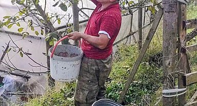 Ağasar'da fındığa alternatif olarak ceviz üretiliyor