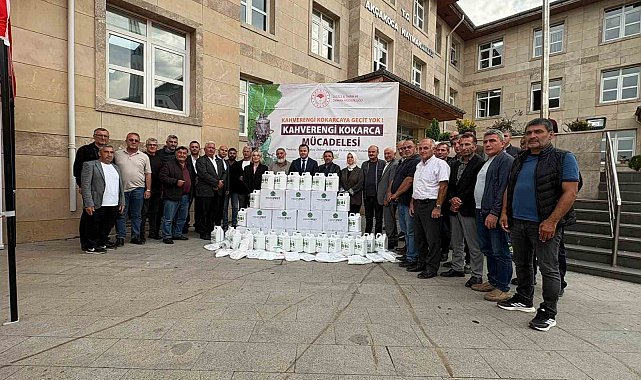 Akçakoca'da kokarca alarmı