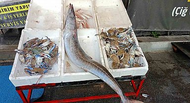 Akdeniz'de 12 kilogramlık ceylan balığı yakalandı
