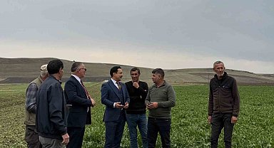Akyaka Kaymakamı Demirtaş, şeker pancarı hasadına katıldı