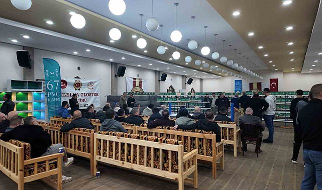 Akyurt'ta Uluslararası Gloster Kanarya Yarışması düzenlendi