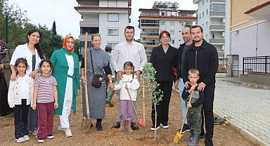 Alanya'da minik eller zeytin fidanlarını toprakla buluşturdu