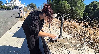 Alevlerin arasından kurtarılan kaplumbağaya vatandaş sahip çıktı