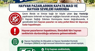 Amasya'da şap hastalığı tedbiri: Hayvan pazarları kapatıldı