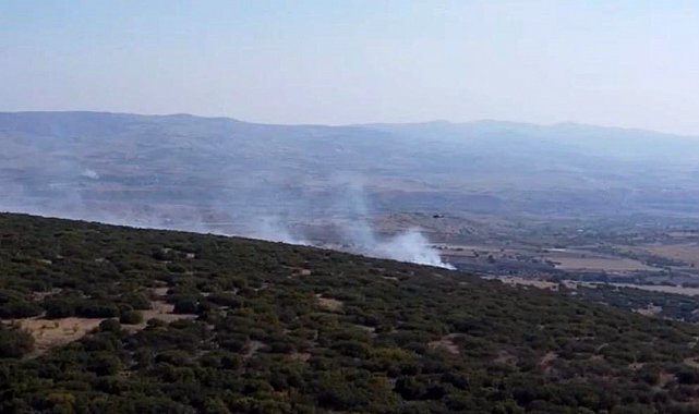 Ankara'da ormanlık alanda çıkan yangın kontrol altına alındı