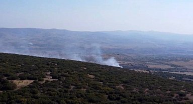 Ankara'da ormanlık alanda çıkan yangın kontrol altına alındı