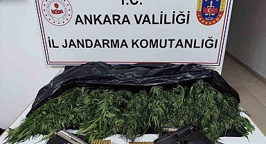 Ankara'da uyuşturucu operasyonu: 1 gözaltı