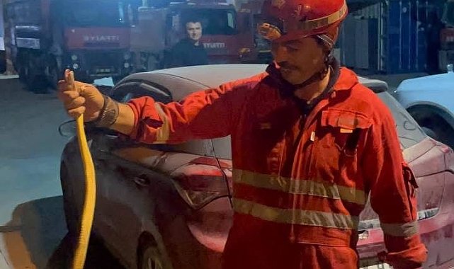 Antakya'da aracın içinde görülen yılan yakalandı