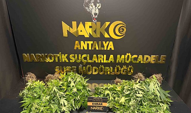 Antalya'da 32 operasyonda 28 bin 519 sentetik ecza ele geçirildi