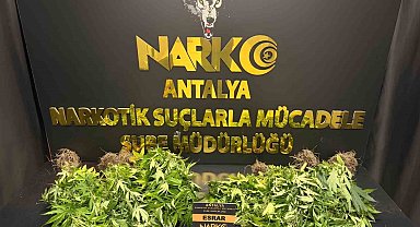 Antalya'da 32 operasyonda 28 bin 519 sentetik ecza ele geçirildi