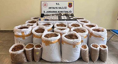 Antalya'da kaçak tütün operasyonu: 750 kilo tütün ele geçirildi