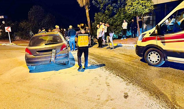 Antalya'da otomobil palmiyeye çarptı: 2 yaralı