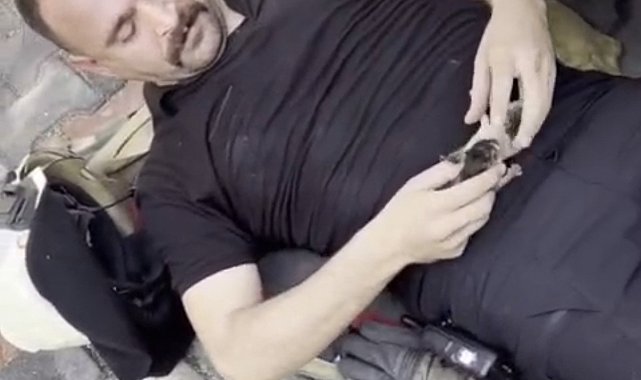 Araç kaputunda doğan kediler itfaiye eri tarafından kurtarıldı