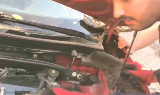 Aracın motoruna giren 3 yavru kedi itfaiye ekiplerince kurtarıldı