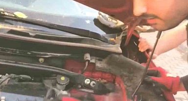 Aracın motoruna giren 3 yavru kedi itfaiye ekiplerince kurtarıldı