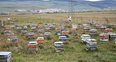 Ardahan'da bal hasadı bitti, 2027 sezonu için kış hazırlıkları başladı