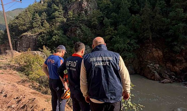 Artvin'de araç dereye düştü: 1 yaralı